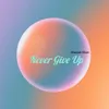 About Never Give Up Song